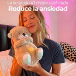 Oso Koala Cariñoso Anti-Estres