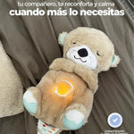 Oso Koala Cariñoso Anti-Estres